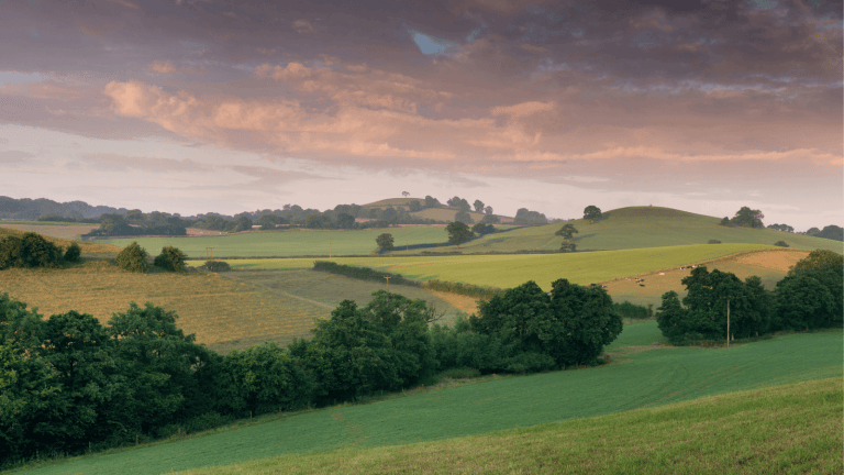 Landscape in Somerset, England